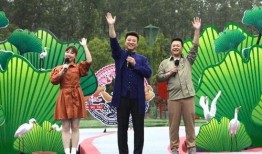 深圳王先生最新爆料视频,揭秘事件背后惊人真相！